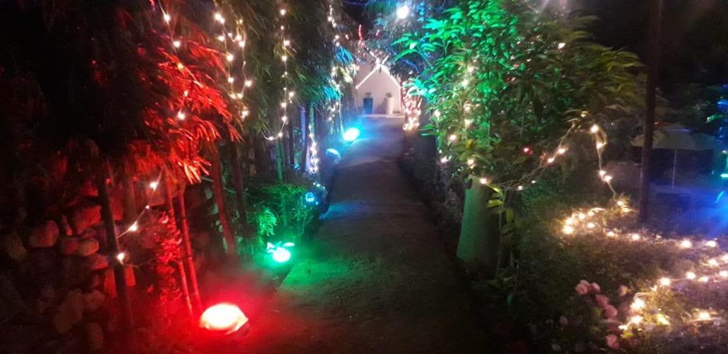 Rio Resort Dogadda المظهر الخارجي الصورة